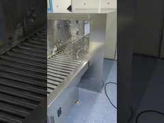 Roller Conveyor Pass-Through Windows for Seamless Material Transfer in Cleanrooms