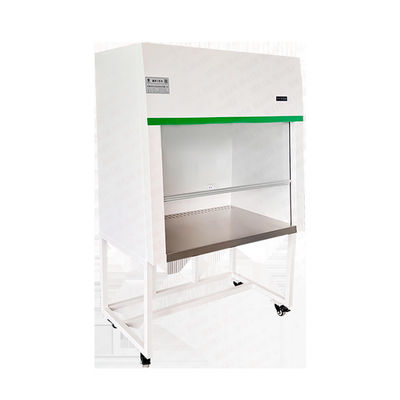 Wind Speed Adjustable Customizable Laminar Flow Hood Clean Bench with Stainless Steel SUS304 Construction