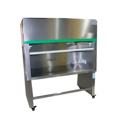 Straight Small Laminar Flow Hood Clean Bench SS 304 Mini Laminar Flow Cabinet