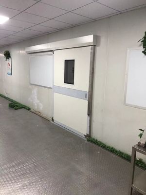 Industrial Automatic Sliding Steel Door | 1500kg Load Capacity & IP65 Weatherproof for Warehouse/Dock