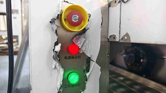Powered Roller Conveyor Air Shower Pass-Through Box | Cleanroom Transfer System
